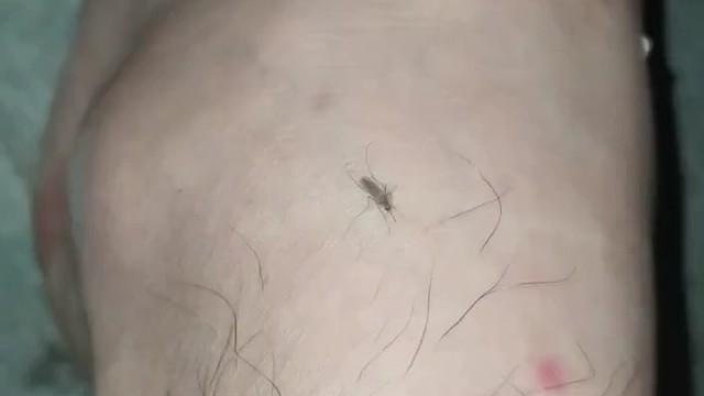 伤敌一千自损八百