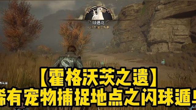 【霍格沃茨之遗】稀有宠物捕捉地点之闪球遁鸟