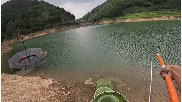 为我遮风挡雨的大伞也离我而去