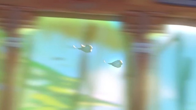 新角色即将来临