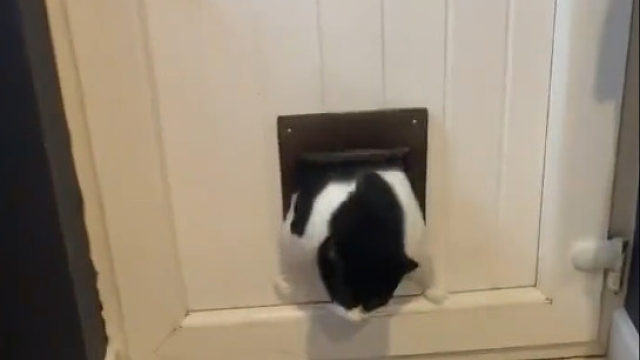 看得出来很努力了