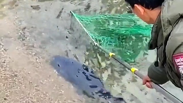 一个不想走一个不想留