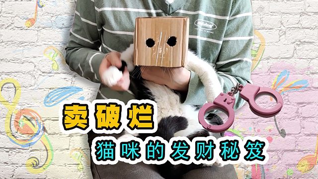 猫咪教唆小伙伴卖破烂，最后被铲屎官抓捕