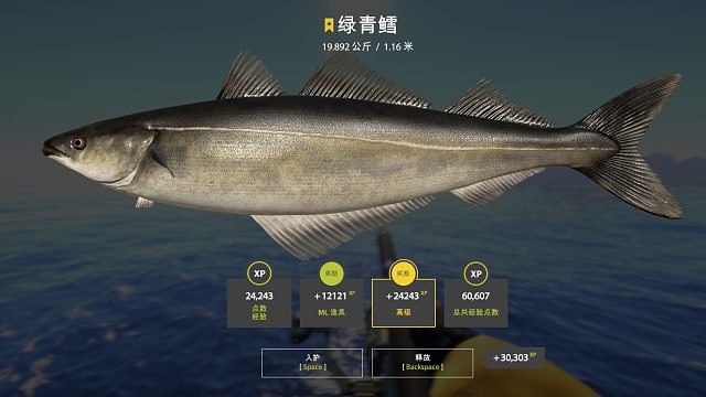 冲刺113星-34图挪威海-绿青鳕