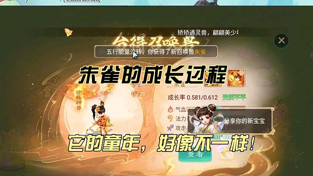 一直沒有童年的朱雀