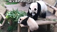 爷爷对福宝真的好温柔