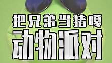 動物派對售價和發(fā)售日期公布！漫天要價 等你三年 真把兄弟當(dāng)豬嘎呀 #steam游戲 #單機(jī)游戲 #動