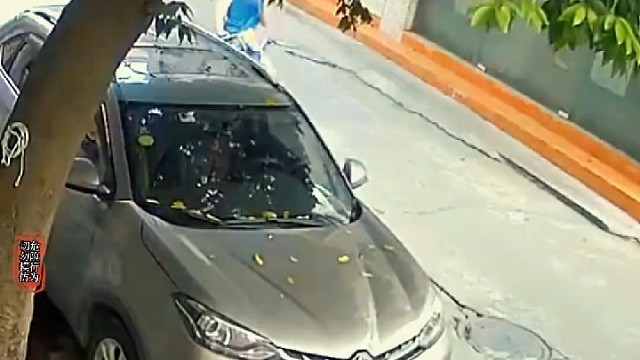 15年驾龄，每次上车都要先检查一圈