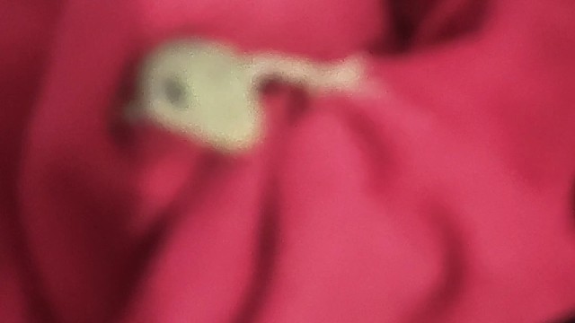 小壁虎到我家做客啦~