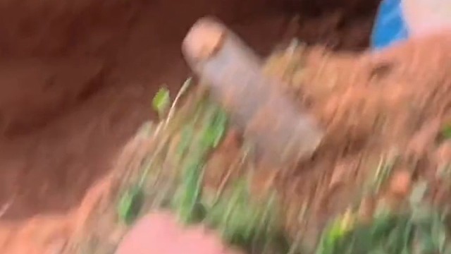 白蚁皇宫，活捉蚁王皇后