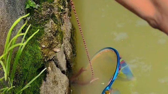 看到了，有钳人也会上当受骗！