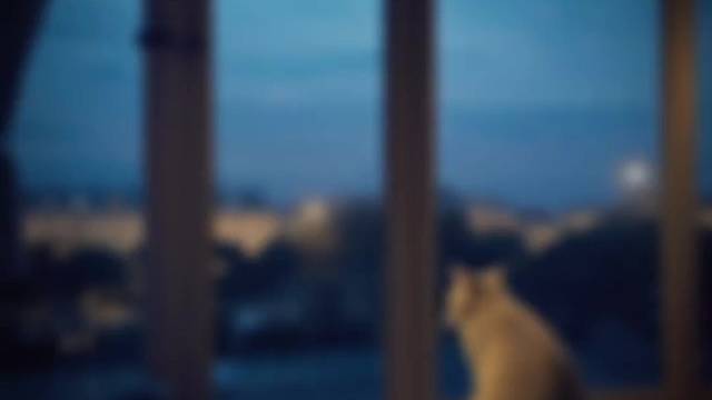 爱意随风起，风止意难平。