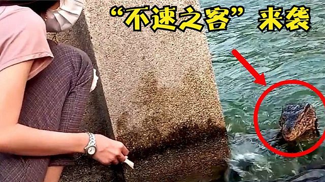 女子在湖边给乌龟喂食，水中突然冲出“不速之客”，惊心动魄！