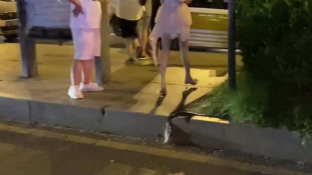 抓一枚仙女裙妹妹