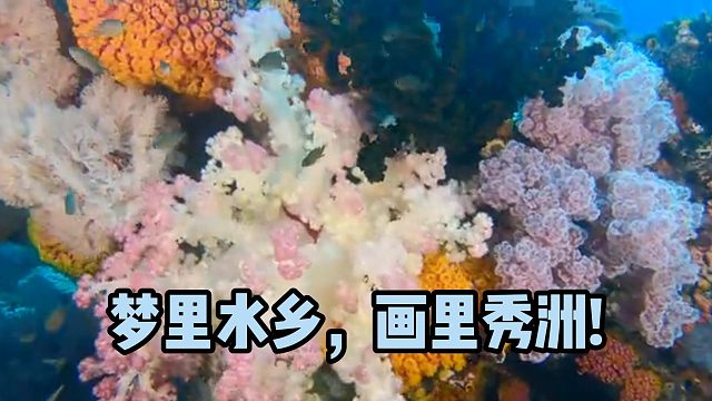 梦里水乡，画里秀洲!