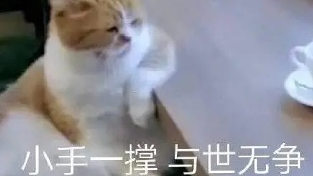 吸汤面-于世防守纵横，大道WX视角1