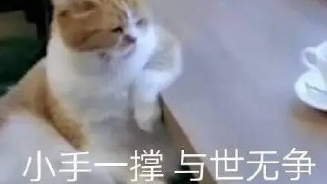 吸汤面-于世防守纵横，大道WX视角2