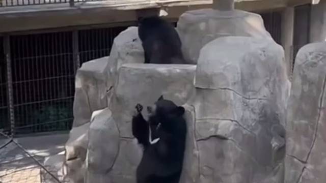 小哥哥，一起来王者峡谷玩吖～害羞～哈哈哈哈～