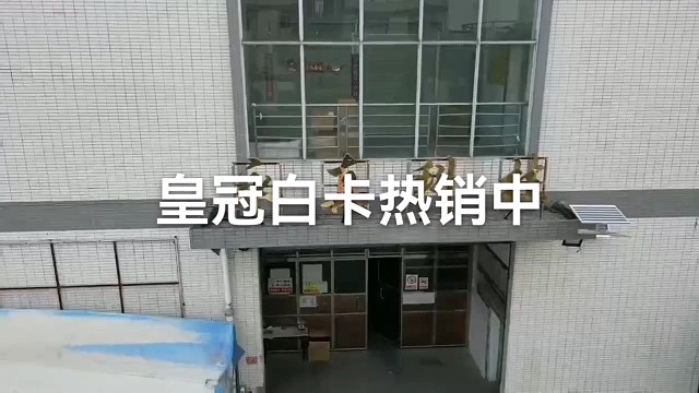 皇冠白卡热销中
