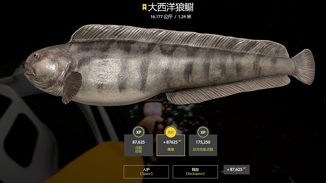 冲刺120星-34图挪威海-大西洋狼鳚