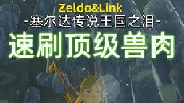 【塞尔达传说王国之泪】虚空速刷顶级冰冻兽肉，10秒钟获得800卢比，适用于1.1.2版本