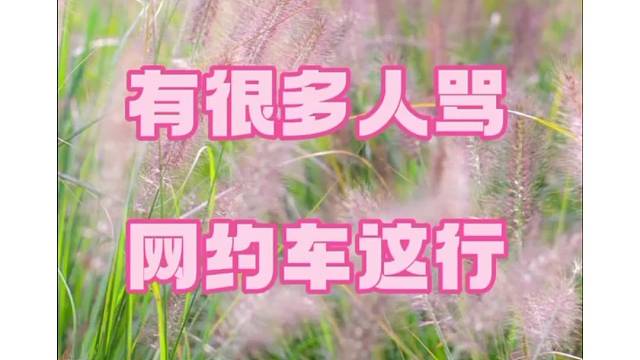 有人多人说网约车多不好，还有很多人涌进，这是为什么？