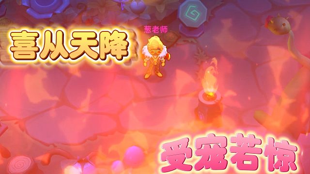 喜从天降受宠若惊~