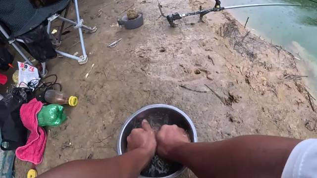 玉米正口鲢子那还得了