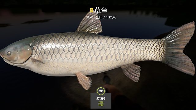 【星草鱼】荣小诗a6月12日