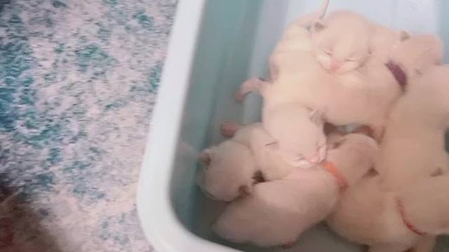 我发布了一个新视频，快来围观吧！