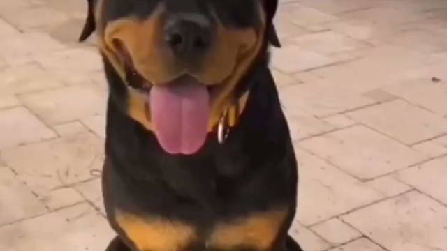 让你握手，你非要伸左手，挨打了吧