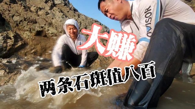 今天抓获两条昂贵的大鱼能卖八百，小明开心的就像捡到钱一样