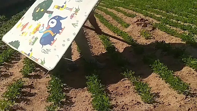 这家伙防雨，防晒防冰雹，就是不防风，风一吹你就上天了[捂脸]