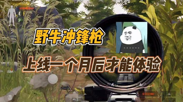 暗区突围：野牛冲锋枪又是一把上线玩不到的新枪！