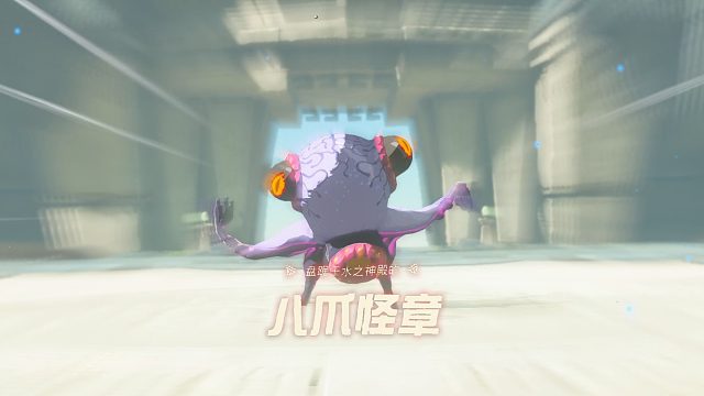 塞尔达传说：王国之泪-水之神殿-八爪怪章