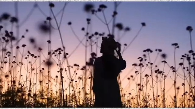 真正能赚钱的是什么？