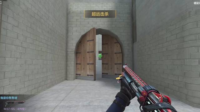 我直接中门对狙