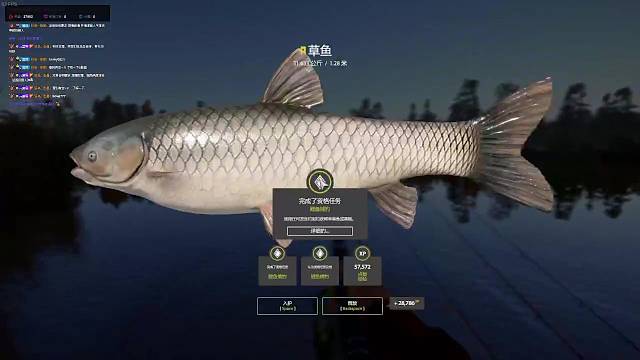 欢迎来到我的直播间