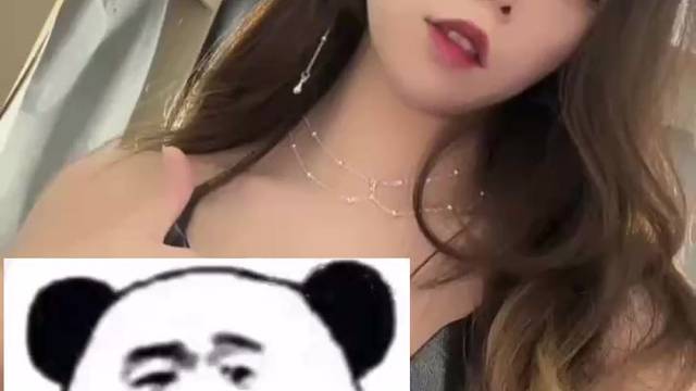 小猫咪都是越疼爱越乖巧