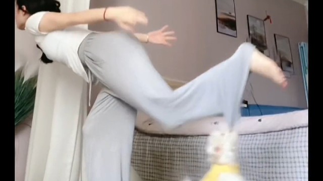 总有一两只厉害的狗狗能让她的女主人出圈！