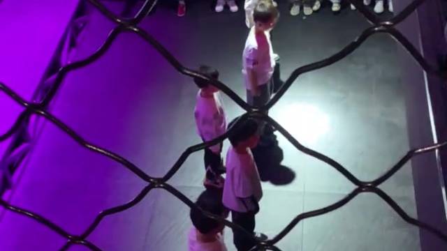 哥哈哈哈v个很好