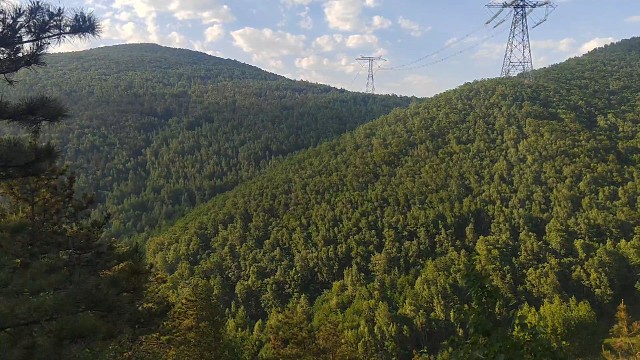 6月16号上山看风景