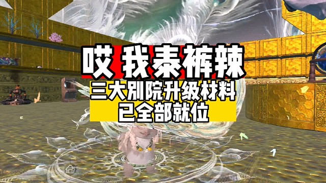 我泰裤辣别院材料准备就绪