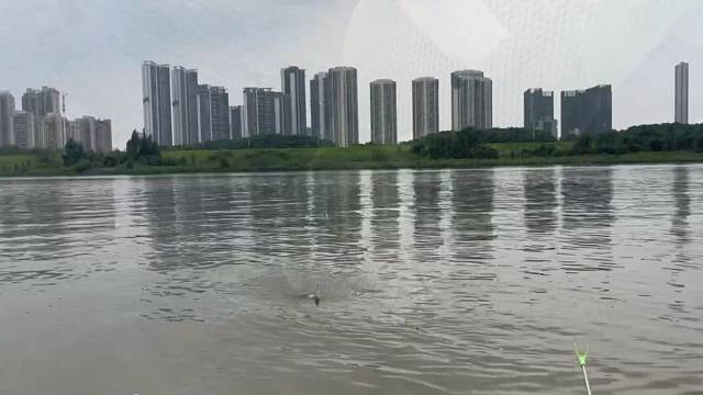 钓技，快乐的一天