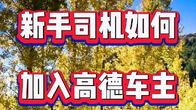 高德怎么注册成为网约车司机？高德车主注册入口，高德免佣联盟司机怎么加入？高德哪个平台单子多，高德哪个