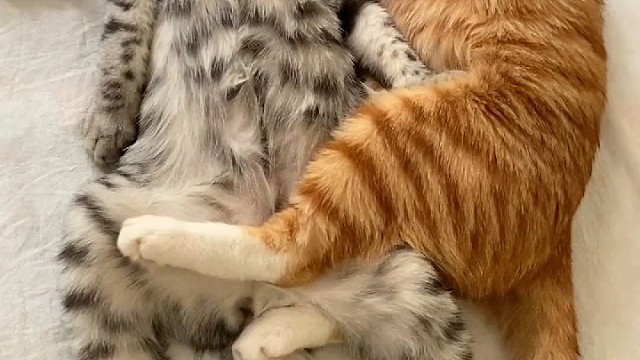 这指定不是两口子，情人才这么粘糊[捂脸]