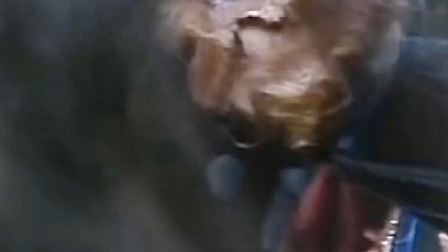 你看看我是谁？