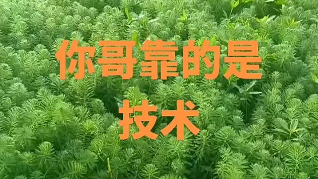 还可以吧