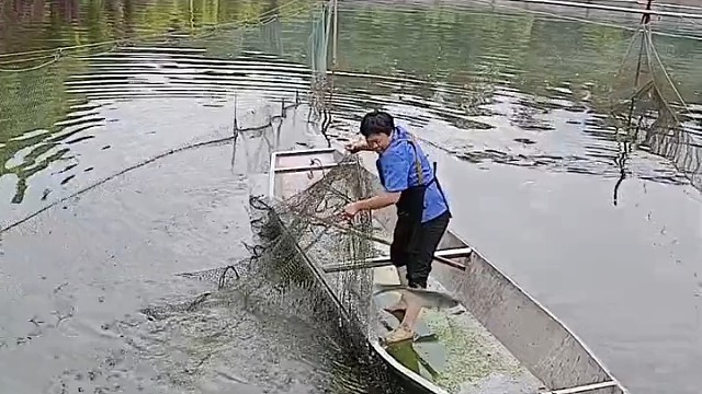 鱼儿：我想开了