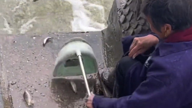 大妈稳坐水边手持簸箕收鱼